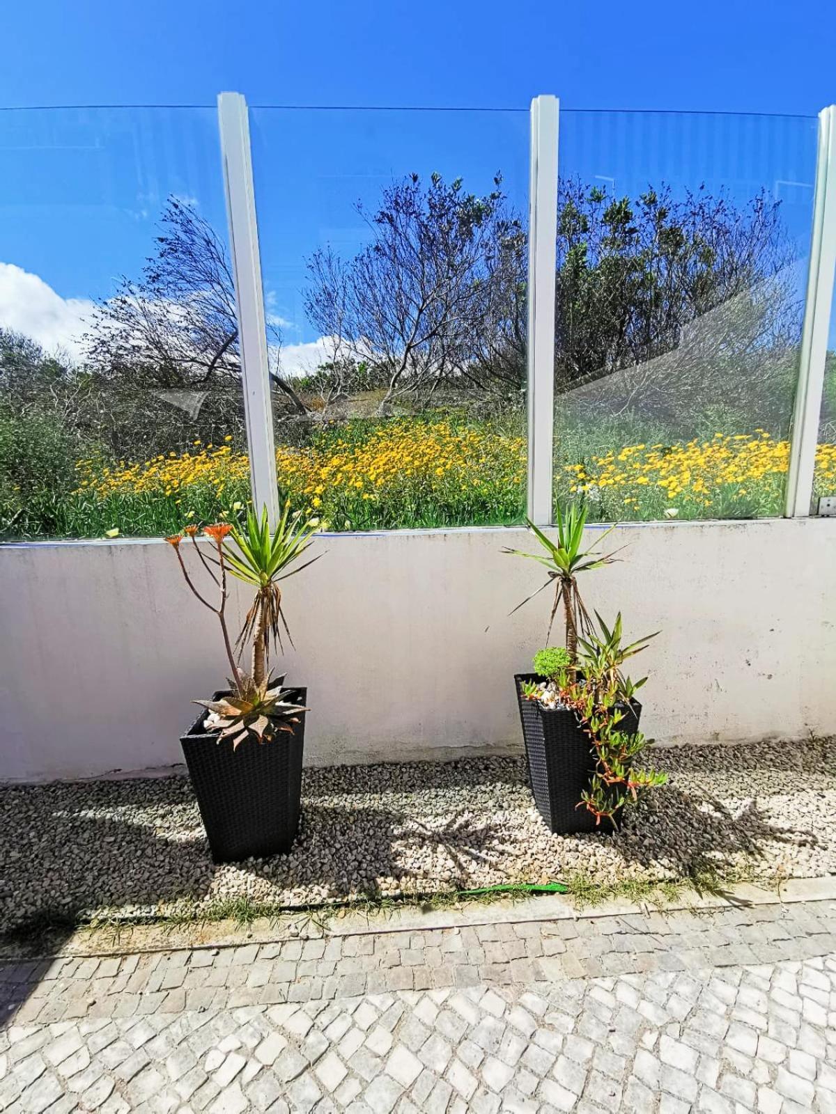 CC - Casa da Costa Lejlighed Costa Nova Eksteriør billede
